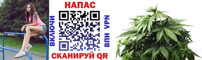 Бошки марихуана Ganja где можно купить Давлеканово